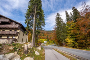 Apartman Anna Chopok 1 110 mnm Trangoška